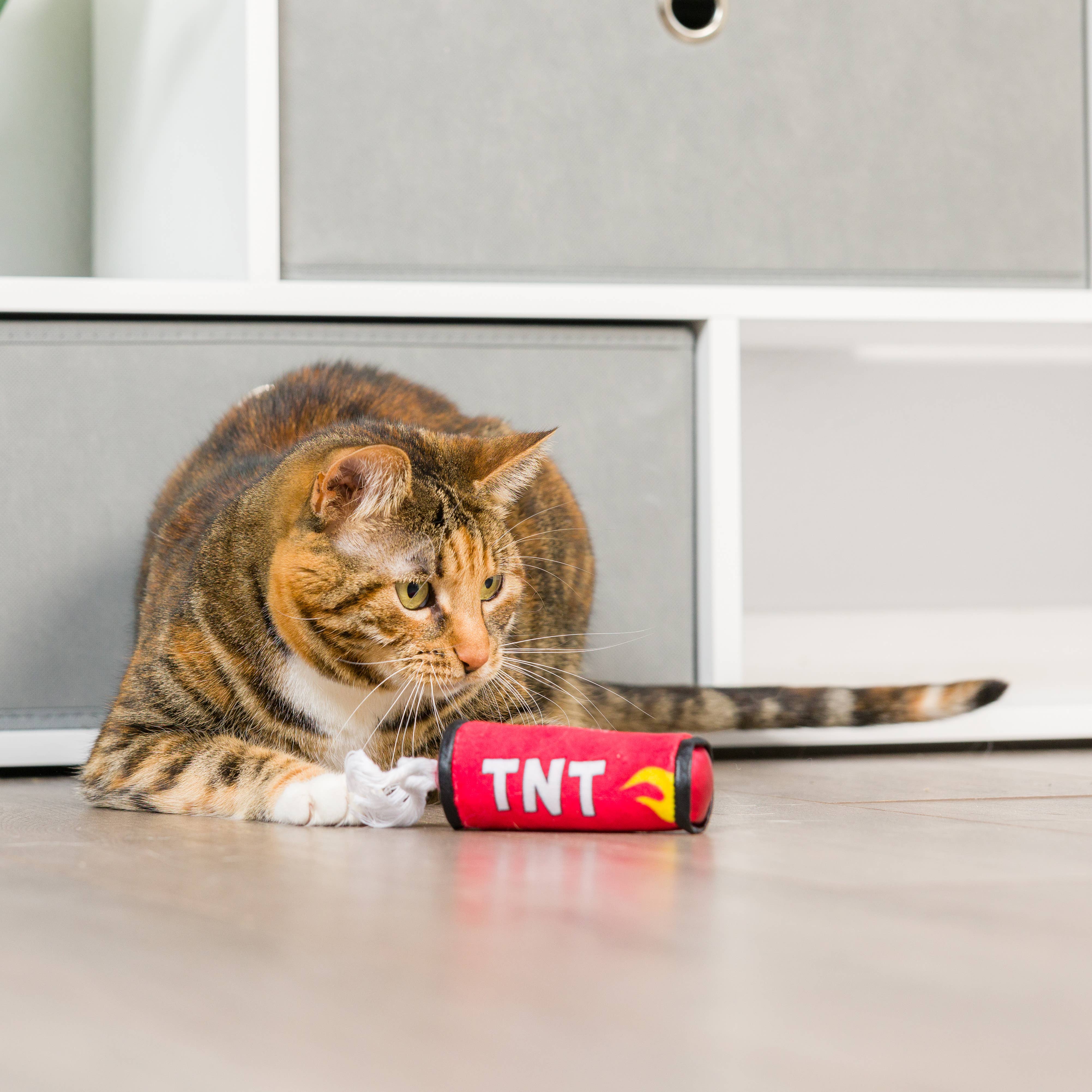 Huxley & Kent - TNT Stick For Cats: One Size